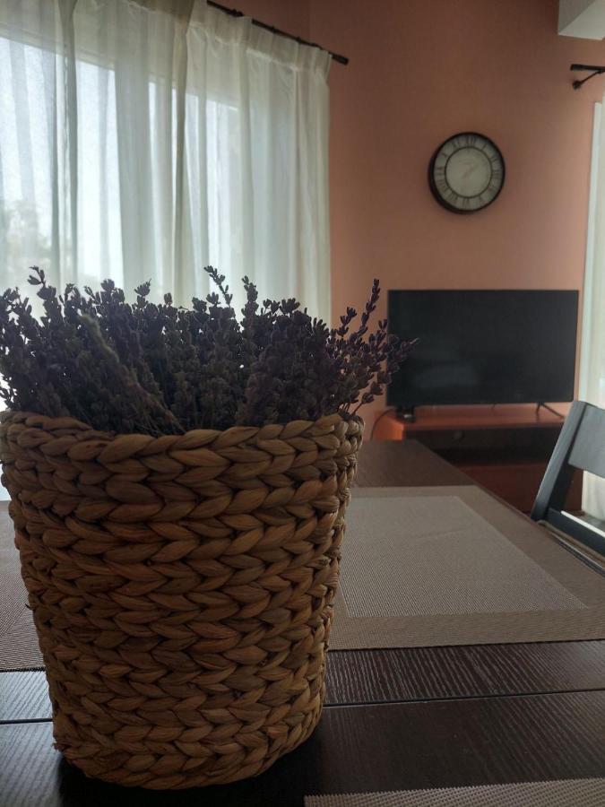 Hébergement de vacances πιθοσ ενοικιαζομενη κατοικια Kalamata